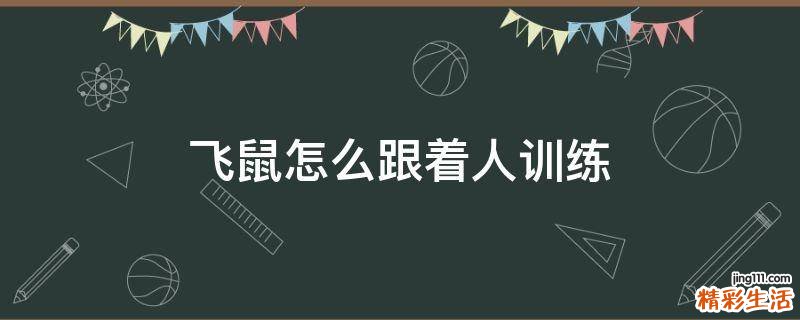 飞鼠怎么跟着人训练