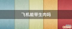 飞机能带生肉吗
