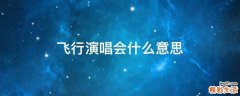飞行演唱会什么意思