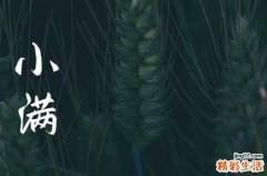适合小满节气的句子 小满节的优美句子