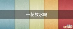 干花放水吗