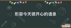 形容今天很开心的语录