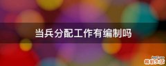 当兵分配工作有编制吗