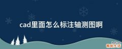cad里面怎么标注轴测图啊