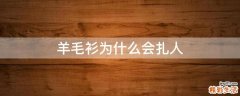 羊毛衫为什么会扎人