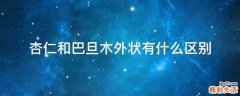 杏仁和巴旦木外状有什么区别
