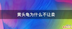 黄头龟为什么不让卖
