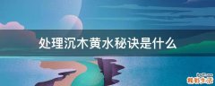 处理沉木黄水秘诀是什么