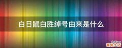 白日鼠白胜绰号由来是什么