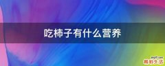 吃柿子有什么营养