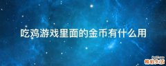 吃鸡游戏里面的金币有什么用
