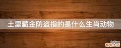 土里藏金防盗指的是什么生肖动物