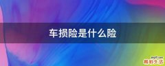 车损险是什么险