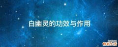白幽灵的功效与作用