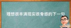 理想很丰满现实很骨感的下一句