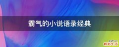 霸气的小说语录经典