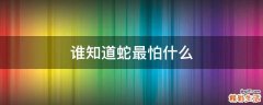 谁知道蛇最怕什么
