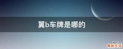 翼b车牌是哪的