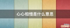 心心相惜是什么意思