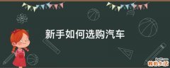 新手如何选购汽车