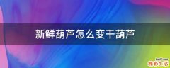 新鲜葫芦怎么变干葫芦