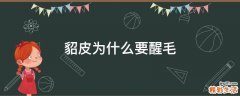 貂皮为什么要醒毛