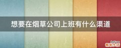 想要在烟草公司上班有什么渠道