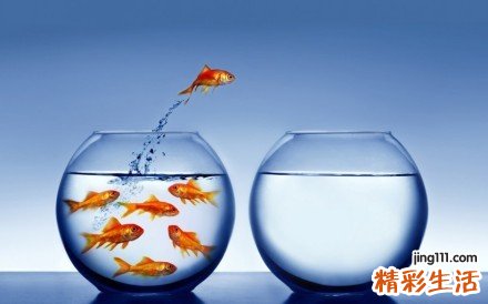 冬天怎么吹干头发