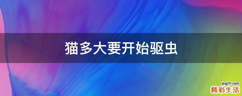 猫多大要开始驱虫