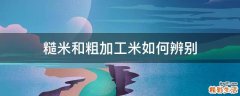 糙米和粗加工米如何辨别