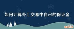 如何计算外汇交易中自己的保证金