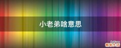 小老弟啥意思