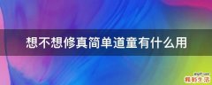 想不想修真简单道童有什么用