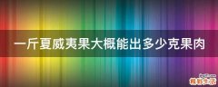 一斤夏威夷果大概能出多少克果肉