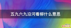 五九六九沿河看柳什么意思