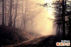 2 适合3月宝宝的十个补钙方