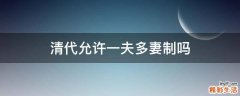 清代允许一夫多妻制吗