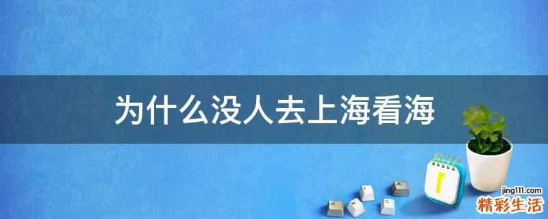 为什么没人去上海看海