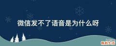 微信发不了语音是为什么呀