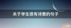 关于学生很有诗意的句子