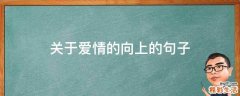 关于爱情的向上的句子