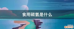 食用碳氨是什么