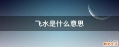 飞水是什么意思
