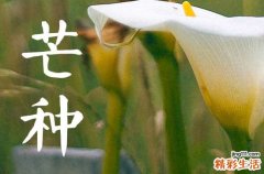 2023年芒种时间 2023年芒种是几月几号