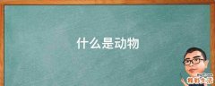 什么是动物