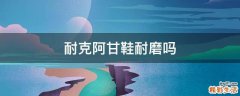 耐克阿甘鞋耐磨吗
