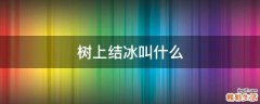 树上结冰叫什么