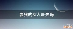 属猪的女人旺夫吗