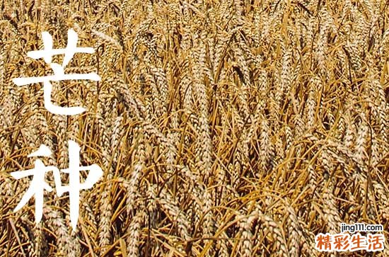 今年几月份芒种2023 2023年芒种是什么时候