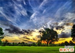 3 推荐六种专属于上班族的养胃菜